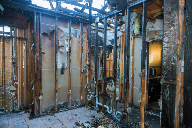 Professional Smoke Odor Removal technician working in Bay City, WI